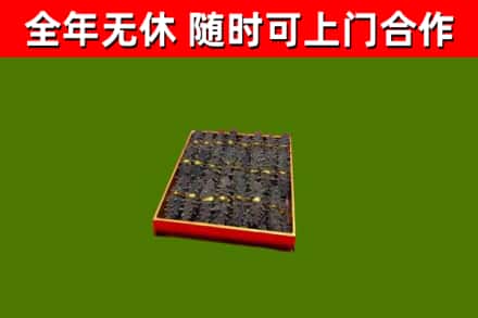川汇回收海参
